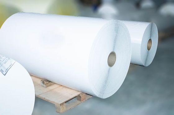 Samoprzylepna etykieta termiczna Jumbo Roll, Klebki Papier z tyłu grubość powierzchni 54u