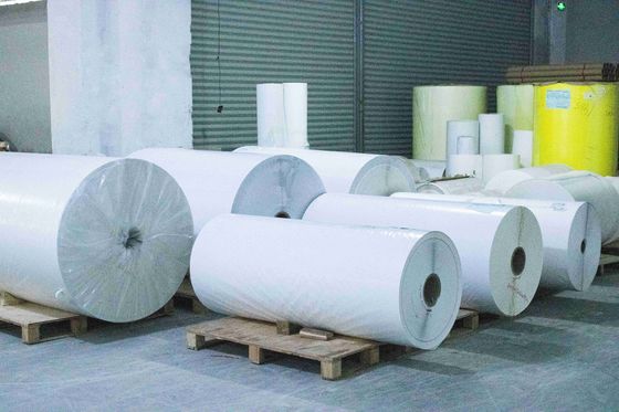 Wodoszczelny Jumbo Roll do pisania, Glossy Paper Roll do pisania