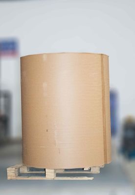 Glu ciepło roztopiony, rolka etykietowania termicznego, Kraft Paper Jumbo Roll 80 u grubość powierzchni